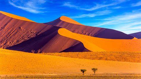 An African Experience; 3 week NAMIBIA, Safari, Sand Dunes, Sun, Sunsets with Dee