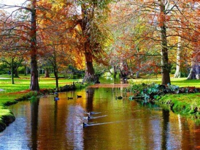 The Old Railway, The Canal & The Quaker { Bushey to Rickmansworth}